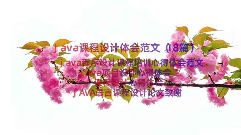 Java课程设计体会范文（18篇）