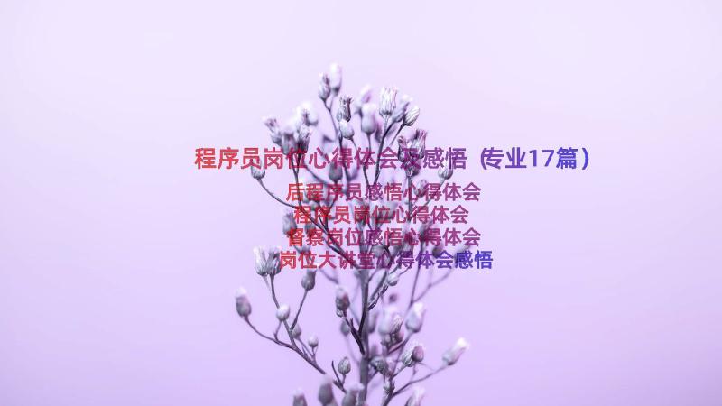 程序员岗位心得体会及感悟（专业17篇）