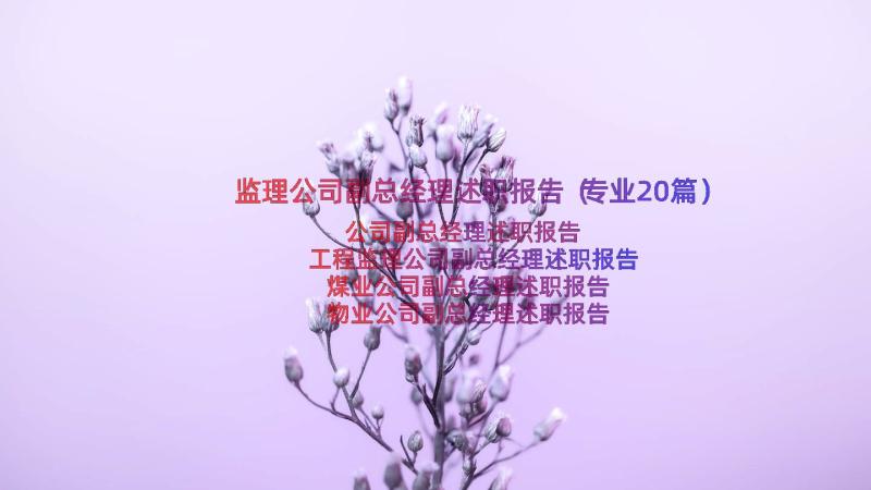 监理公司副总经理述职报告（专业20篇）