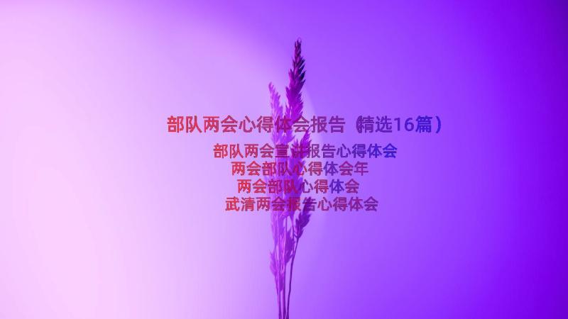 部队两会心得体会报告（精选16篇）