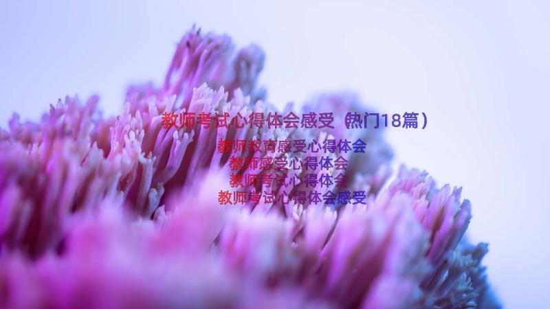 教师考试心得体会感受（热门18篇）