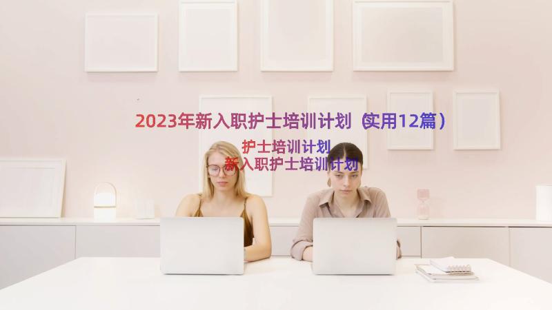 2023年新入职护士培训计划（实用12篇）