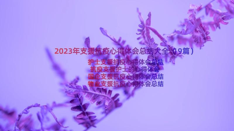 2023年支援抗疫心得体会总结大全（19篇）