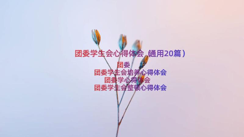 团委学生会心得体会（通用20篇）