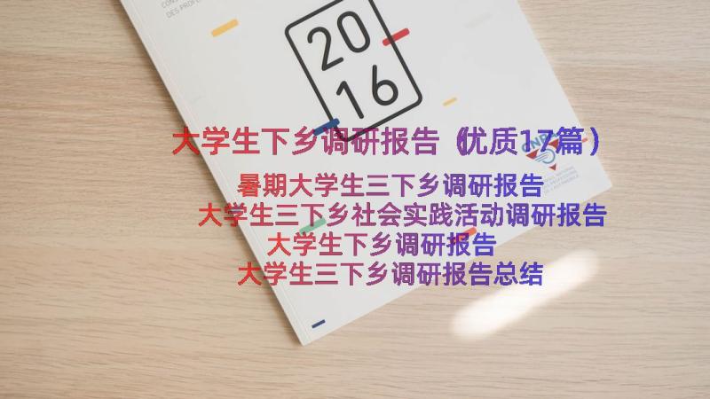 大学生下乡调研报告（优质17篇）