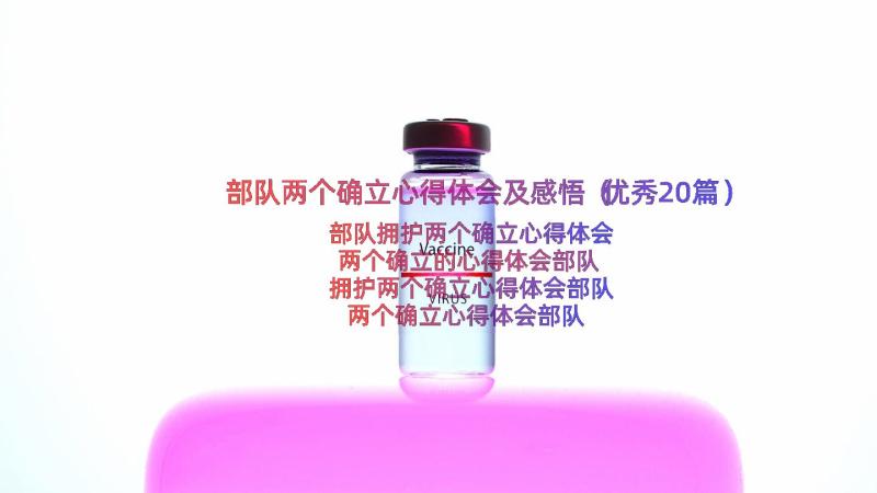 部队两个确立心得体会及感悟（优秀20篇）