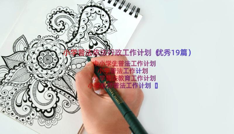 小学普法依法行政工作计划（优秀19篇）