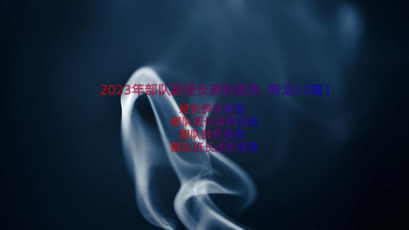 2023年部队副班长辞职报告（专业23篇）