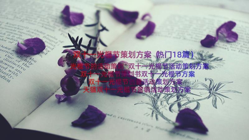 双十一光棍节策划方案（热门18篇）