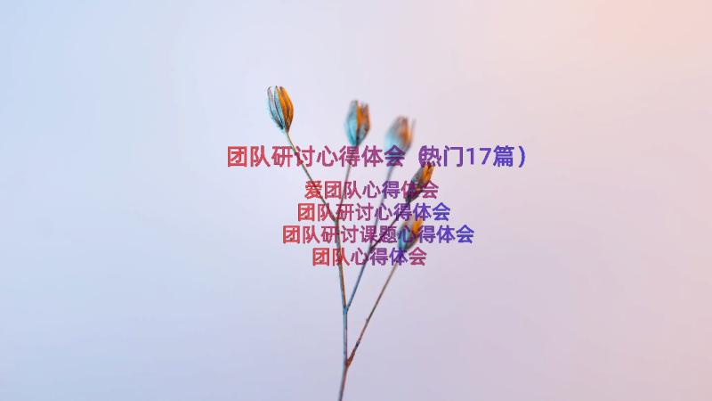 团队研讨心得体会（热门17篇）