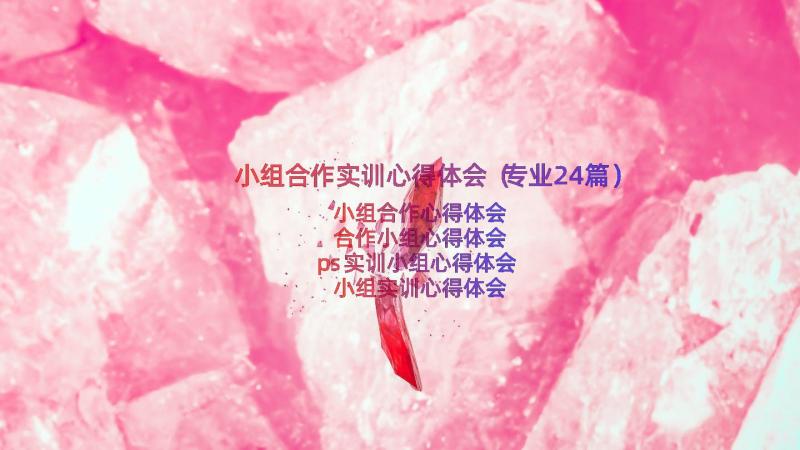 小组合作实训心得体会（专业24篇）