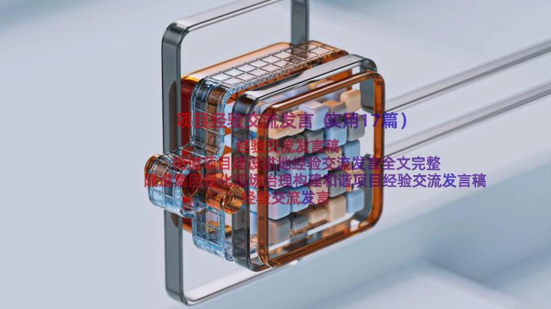 项目经验交流发言（实用17篇）