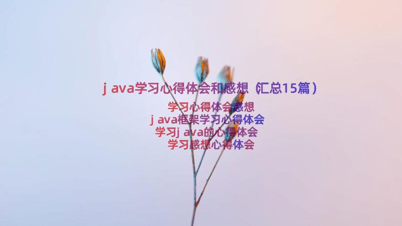 java学习心得体会和感想（汇总15篇）