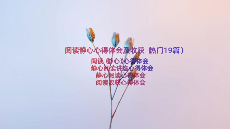 阅读静心心得体会及收获（热门19篇）