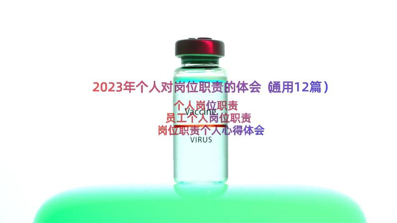 2023年个人对岗位职责的体会（通用12篇）