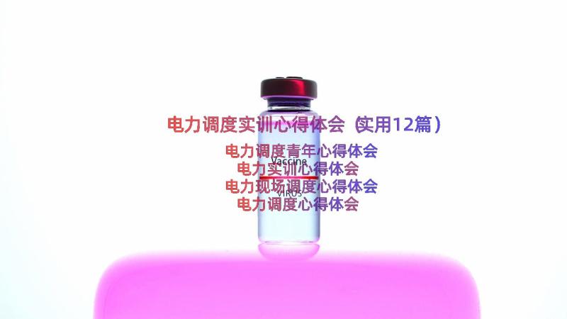 电力调度实训心得体会（实用12篇）