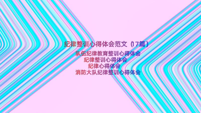 纪律整训心得体会范文（17篇）