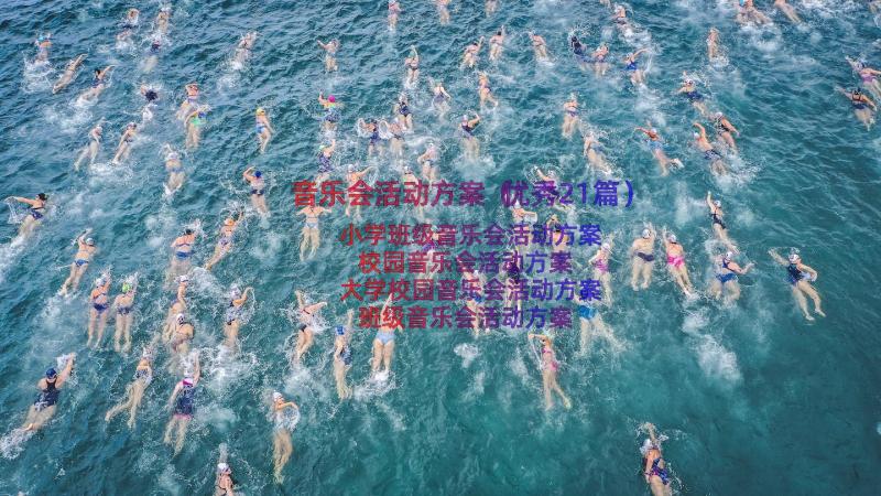 音乐会活动方案（优秀21篇）