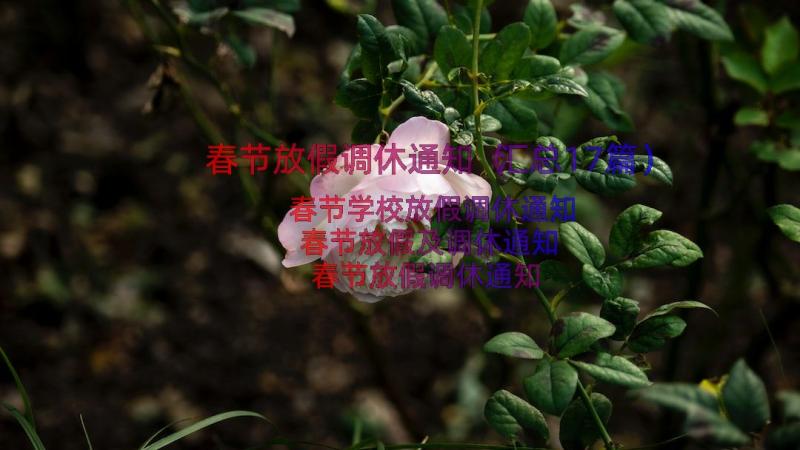 春节放假调休通知（汇总17篇）