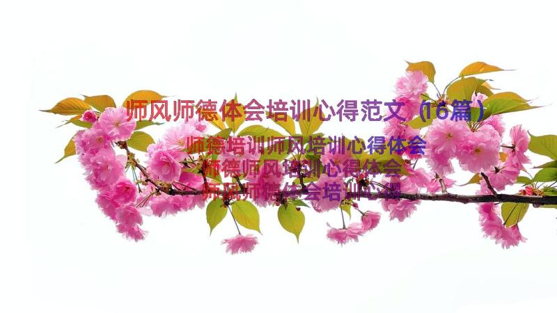 师风师德体会培训心得范文（16篇）