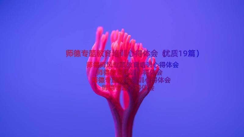 师德专题教育培训心得体会（优质19篇）