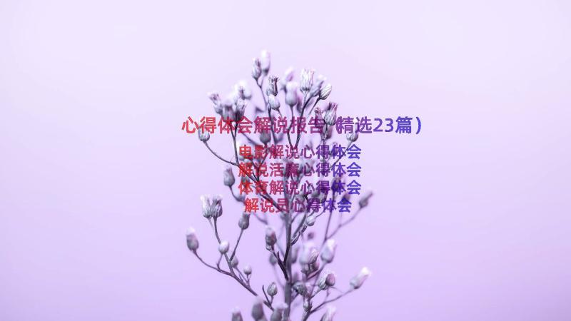 心得体会解说报告（精选23篇）