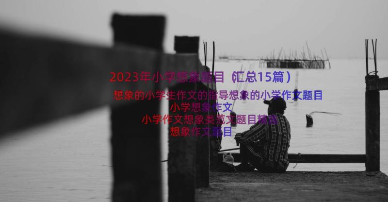 2023年小学想象题目（汇总15篇）