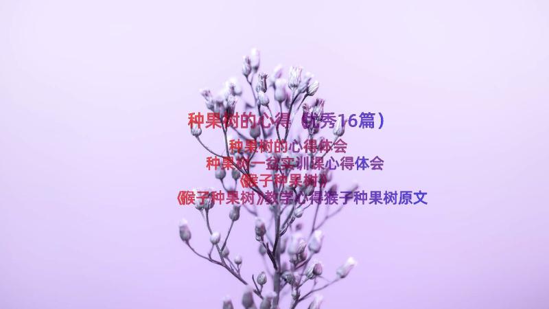 种果树的心得（优秀16篇）