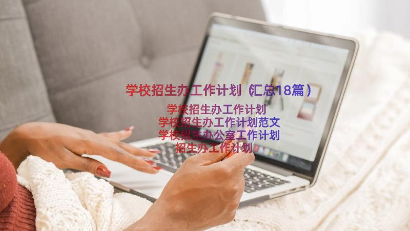 学校招生办工作计划（汇总18篇）