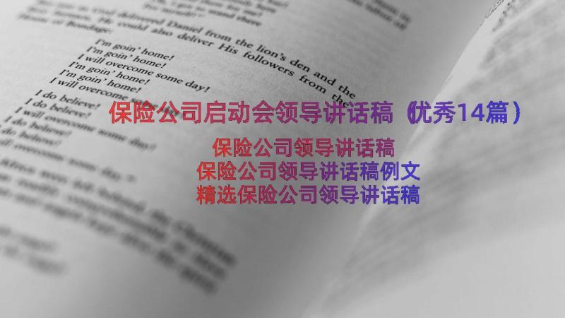 保险公司启动会领导讲话稿（优秀14篇）