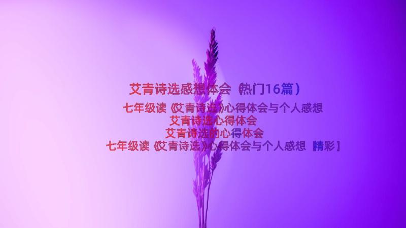 艾青诗选感想体会（热门16篇）