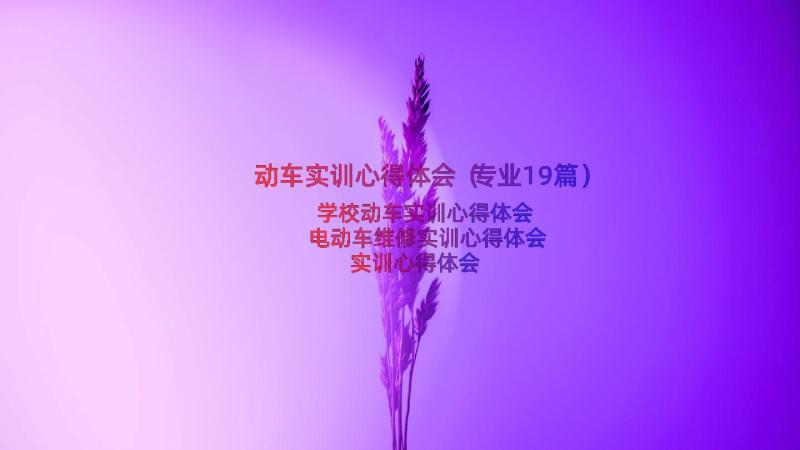 动车实训心得体会（专业19篇）