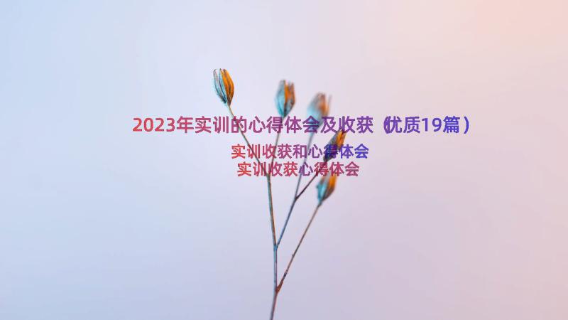 2023年实训的心得体会及收获（优质19篇）