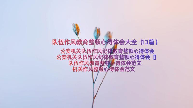 队伍作风教育整顿心得体会大全（13篇）