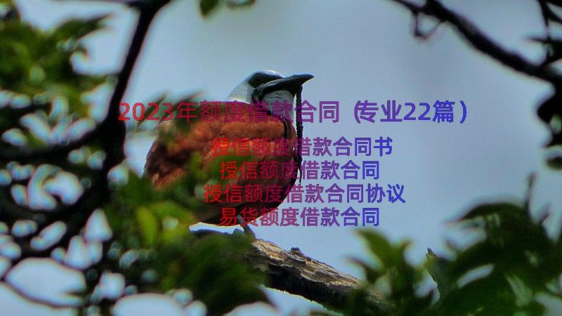 2023年额度借款合同（专业22篇）