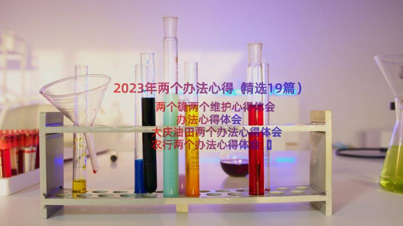 2023年两个办法心得（精选19篇）