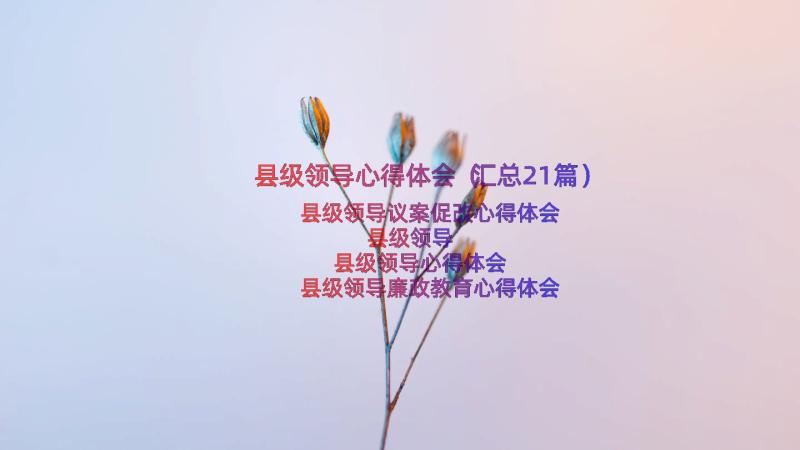 县级领导心得体会（汇总21篇）