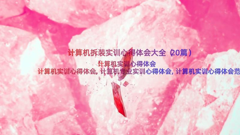 计算机拆装实训心得体会大全（20篇）