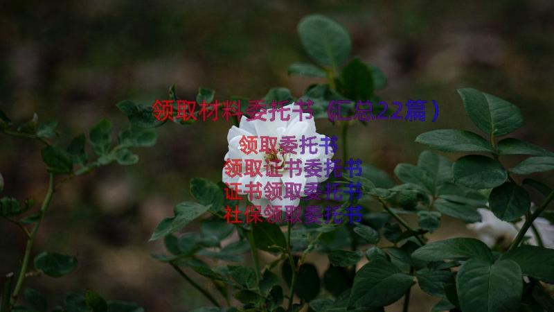 领取材料委托书（汇总22篇）