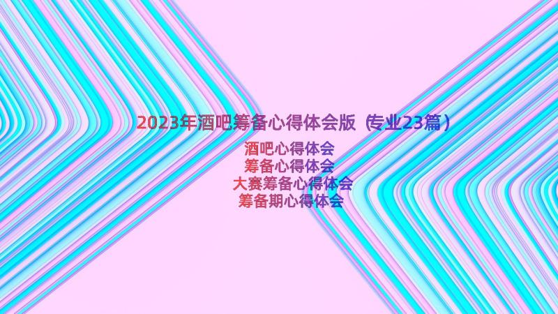 2023年酒吧筹备心得体会版（专业23篇）