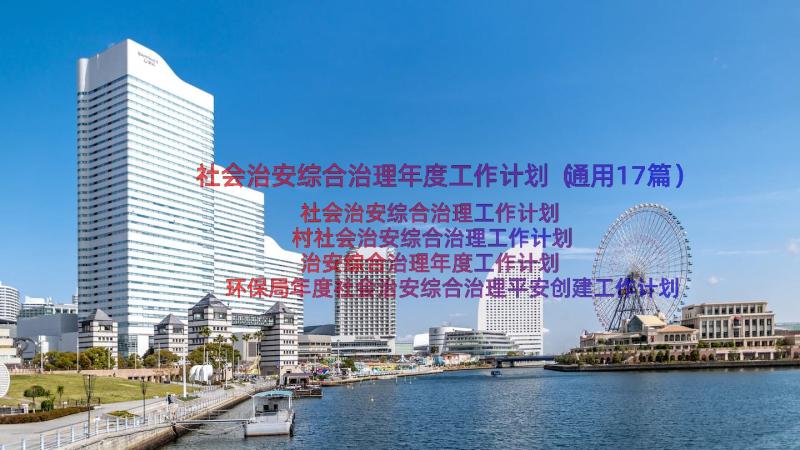 社会治安综合治理年度工作计划（通用17篇）