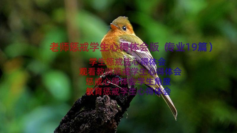 老师惩戒学生心得体会版（专业19篇）