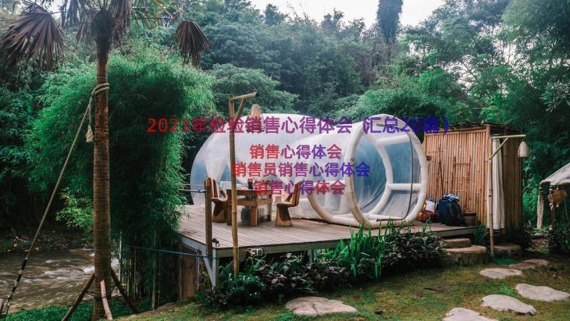 2023年检验销售心得体会（汇总20篇）