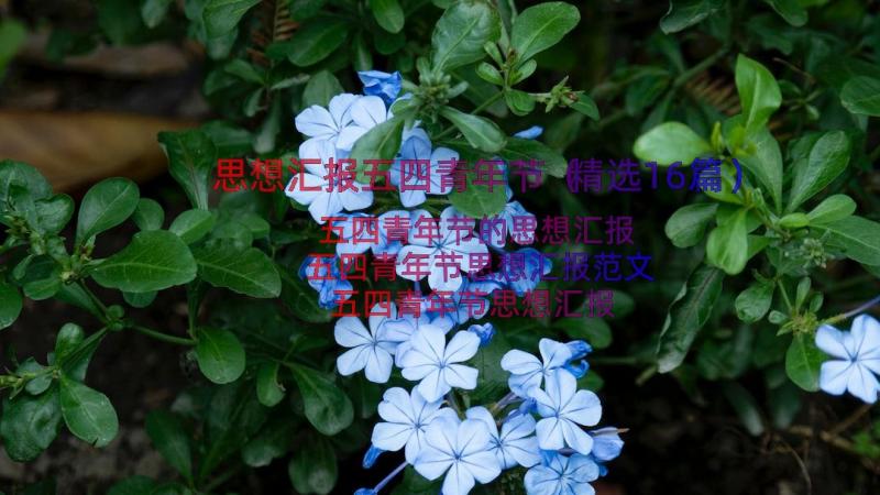 思想汇报五四青年节（精选16篇）