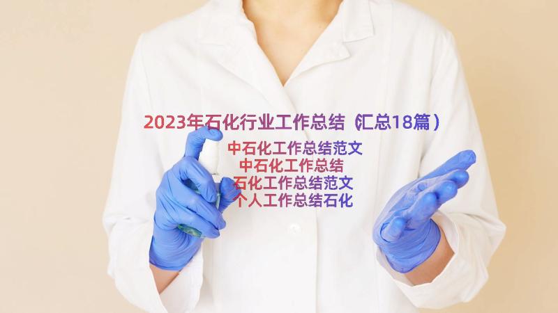 2023年石化行业工作总结（汇总18篇）