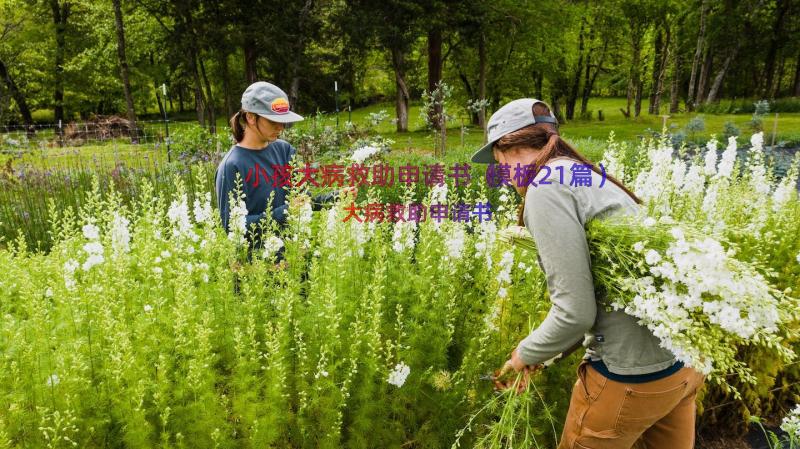 小孩大病救助申请书（模板21篇）