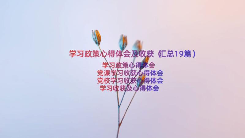 学习政策心得体会及收获（汇总19篇）