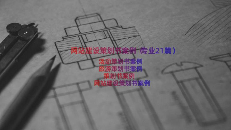 网站建设策划书案例（专业21篇）