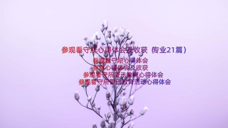 参观看守所心得体会及收获（专业21篇）