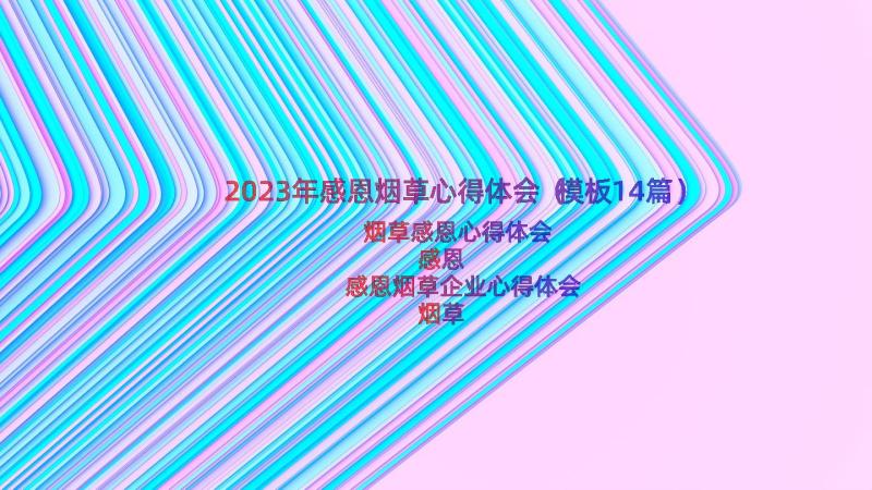 2023年感恩烟草心得体会（模板14篇）